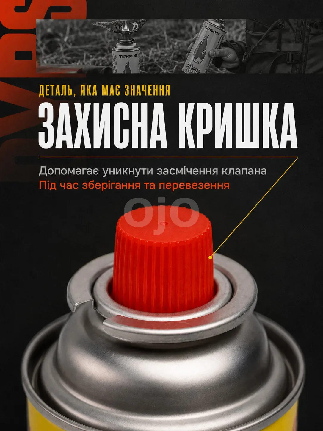 Layer 3.jpg